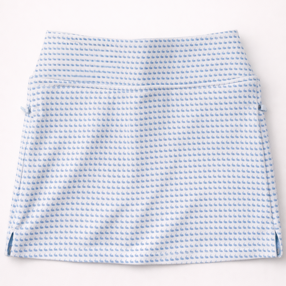 Blue and white checkered skirt on a white background